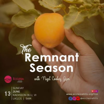 Remnant season