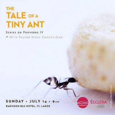 Tiny ant