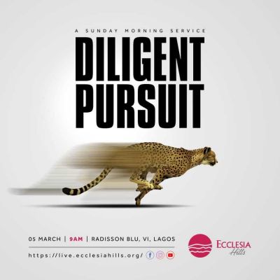 Diligent Pursuit